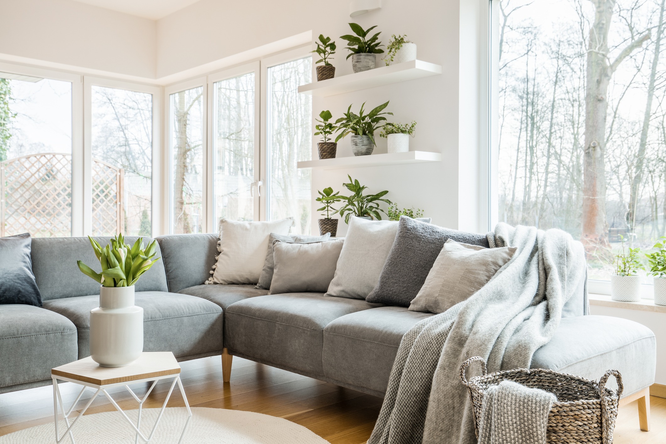 Bright living room with large windows, a gray sectional sofa with neutral pillows and a blanket, potted plants on floating shelves, a small table with a vase, and a woven basket on a light wood floor.
